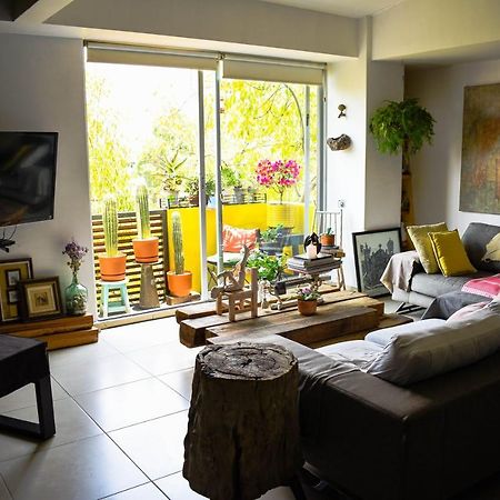 מקסיקו סיטי Pequena Habitacion Frida - Design Cdmx - Areas Comunes Compartidas מראה חיצוני תמונה