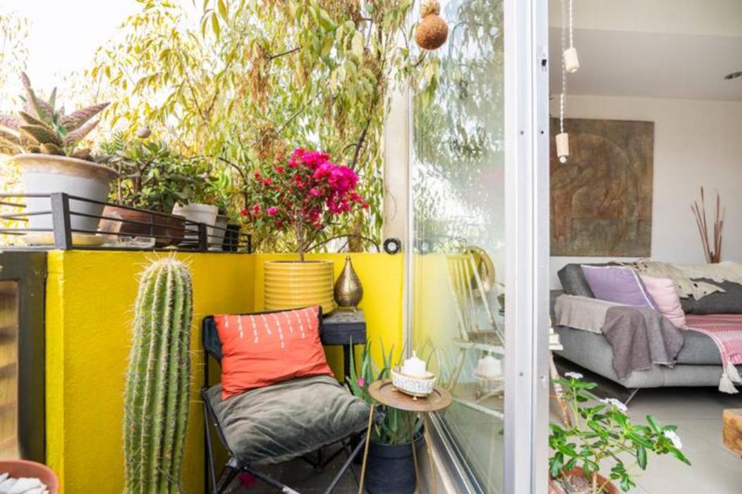מקסיקו סיטי Pequena Habitacion Frida - Design Cdmx - Areas Comunes Compartidas מראה חיצוני תמונה